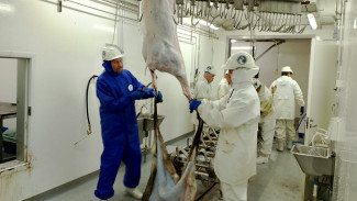 Новый модульный убойный комплекс установили в Тазовском районе