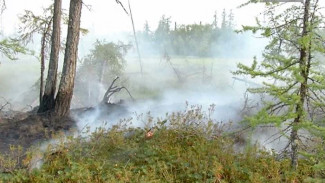 В одном из районов округа за лесными пожарами будут следить видеокамеры