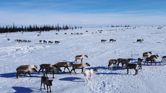 Времена – март: и в нем опять два праздника, и оба про весну