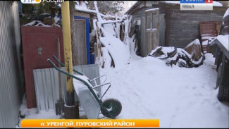 Захват земли в поселке Уренгой. Самострою объявлена война