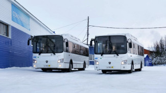 Школьникам Ноябрьска отменили бесплатный проезд в общественном транспорте 