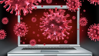 Компьютерный коронавирус: как защитить себя от активизировавшихся на фоне пандемии кибермошенников