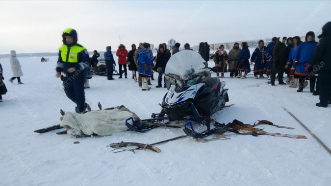 Снегоход протаранил толпу и упряжку на Дне оленевода в Надыме