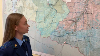 Незаконная рубка леса обошлась ямальской компании в 724 тысячи рублей