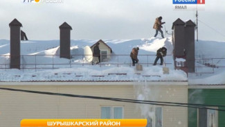 Коммунальщики поселка Мужи поплатятся штрафами за неубранный снег