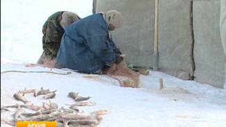 Ямальские рыбаки в первый месяц года побили прошлогодний рекорд