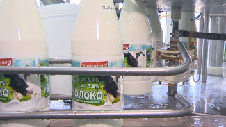 В Приморье инженеры помогают развиваться местному молочному производству 