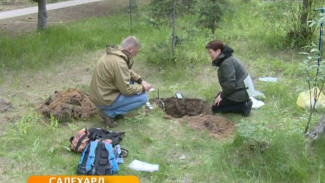 Ямальскую почву исследуют сотрудники Научного центра изучения Арктики