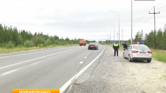 Дорожному полицейскому из Муравленко пытались дать взятку, но ничего из этого не вышло