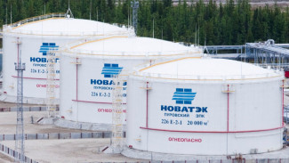 НОВАТЭК создал дочернюю компанию для строительства кораблей