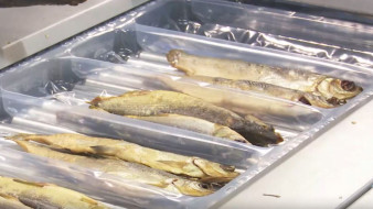 На Салехардском комбинате выбрали лучшую щепу для копчения пыжьяна