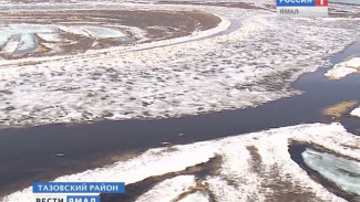 Специалисты: серьезных подтоплений в Тазовском районе не ожидается