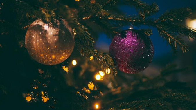 Искали, искали – и нашли: главной новогодней елкой страны станет 95-летнее дерево из Подмосковья 