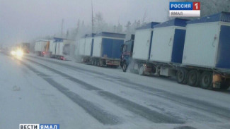 Директор компании поставщика прокомментировал «Вести Ямал» ситуацию с замерзающими дальнобойщиками