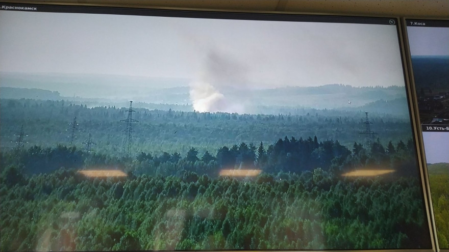 Благодаря системе видеонаблюдения «Ростелекома» удалось оперативно потушить 30 лесных пожаров