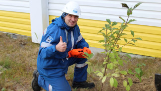 Убрали территорию и высадили деревья: нефтяники провели экопикник в Ямальском районе