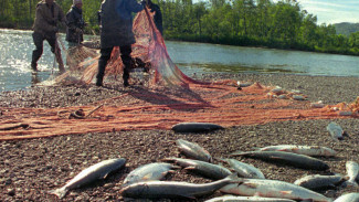 Почему законные квоты на рыболовство многие коренные народы вынуждены отстаивать в суде? 