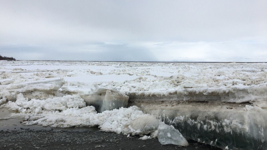 Актуальная информация о ледовой обстановке на Ямале