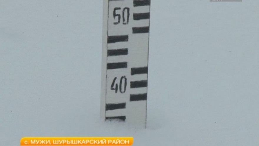 Аномальное тепло на Ямале рушит планы не только дорожников