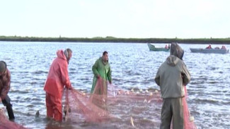 Теперь на 30 тонн больше: на Ямале увеличены квоты на традиционное рыболовство
