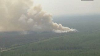 Для тушения лесных пожаров на Ямале по-прежнему привлекают силы из других регионов