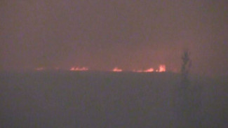 Первый пожар этого лета: в Красноселькупском районе выгорело семь гектаров леса