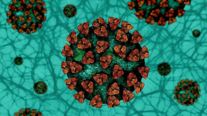 Темпы снижаются: на Ямале выявлен 51 новый случай коронавируса