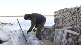 Твёрдое топливо по приемлемой цене: в Шурышкарском районе полным ходом идёт заготовка дров