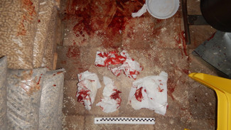 В ЯНАО мужчина попытался застрелить 2 человек и покончить с собой ФОТО