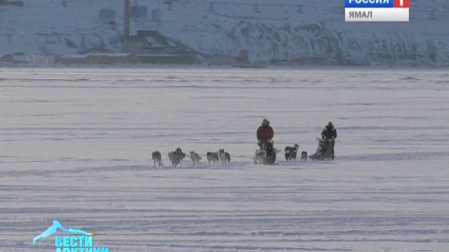 Недетские туры. Норвегия отправит подростков на Северный полюс