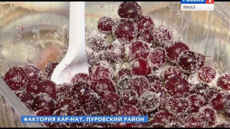 Ученые: организм коренных народов Ямала не способен переваривать сахар