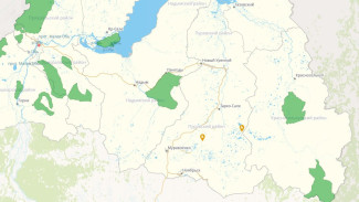 На Ямале продолжается тушение двух природных пожаров