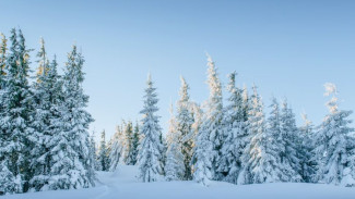 Погода в Салехарде: тридцатиградусные морозы накроют весь Ямал