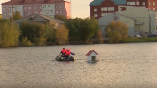 В Салехарде общественники изготовили плавающие домики для уточек на озере Лебяжье 