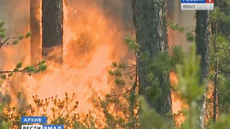 С начала лета от пожара пострадал 2581 гектар ямальского леса