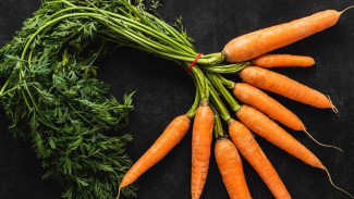 Мелкая, кривая и «бородатая»: 6 главных ошибок при посеве моркови