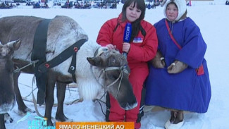 Богатырская сила и северная красота: как прошел один из самых масштабных Дней оленевода на Ямале
