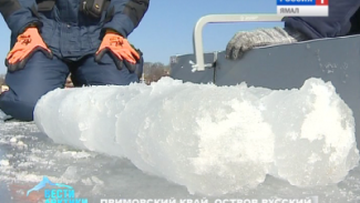Лёд с научной точки зрения: как аспиранты учатся противостоять айсбергам на острове Русский