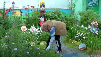 Жительница Ноябрьска прививает соседям любовь к цветам