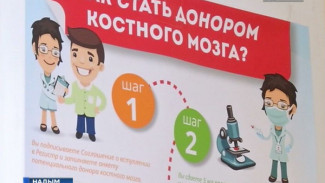 Надым поможет. Первый город Ямала в национальном регистре доноров костного мозга