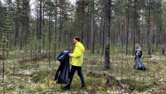 Свалок меньше не становится: энергетики очистили лес Губкинского от мусора