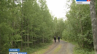 На Ямале появятся «лесопарковые зеленые пояса»