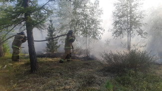 На Ямале зафиксировано 11 лесных пожаров на общей площади почти 5 тыс. га