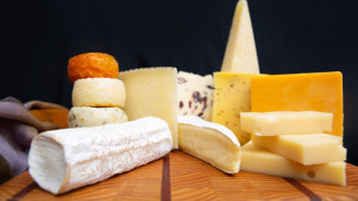 Экспериментируют с будущими сортами: в Красноселькупе запустят производство собственного сыра