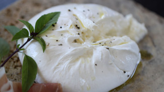 «Ямальские олени» планируют запустить в массовое производство итальянский сыр