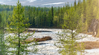 На Ямале в год экологии планируют убрать более 300 свалок