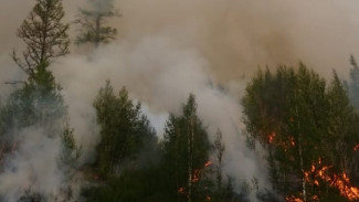 Ямалспасовцы потушили лесные пожары на площади около 280 гектаров 