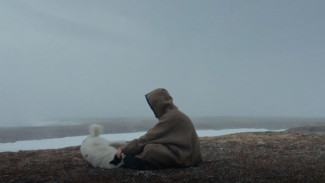 «147 дней в тундре»: Федор Овчинников планирует в следующем году выпустить кинокартину о своем путешествии в Арктике 