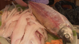 Сомнительный деликатес или любимое лакомство? Жители Таймыра уверены в безопасности местной рыбы