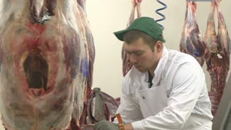Рабочие места и свежее мясо: уже скоро в Гыде заработает новый заготовительный комплекс